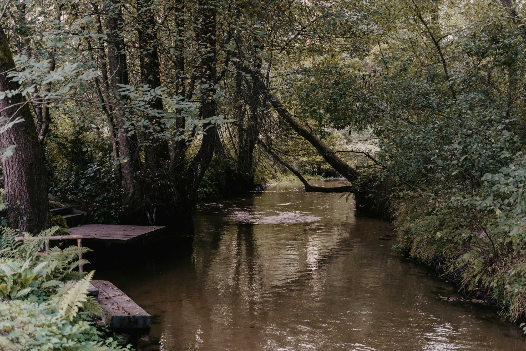 Eden nad Tanwią - Całoroczny dom wypoczynkowy 10 osób nad rzeką Tanew