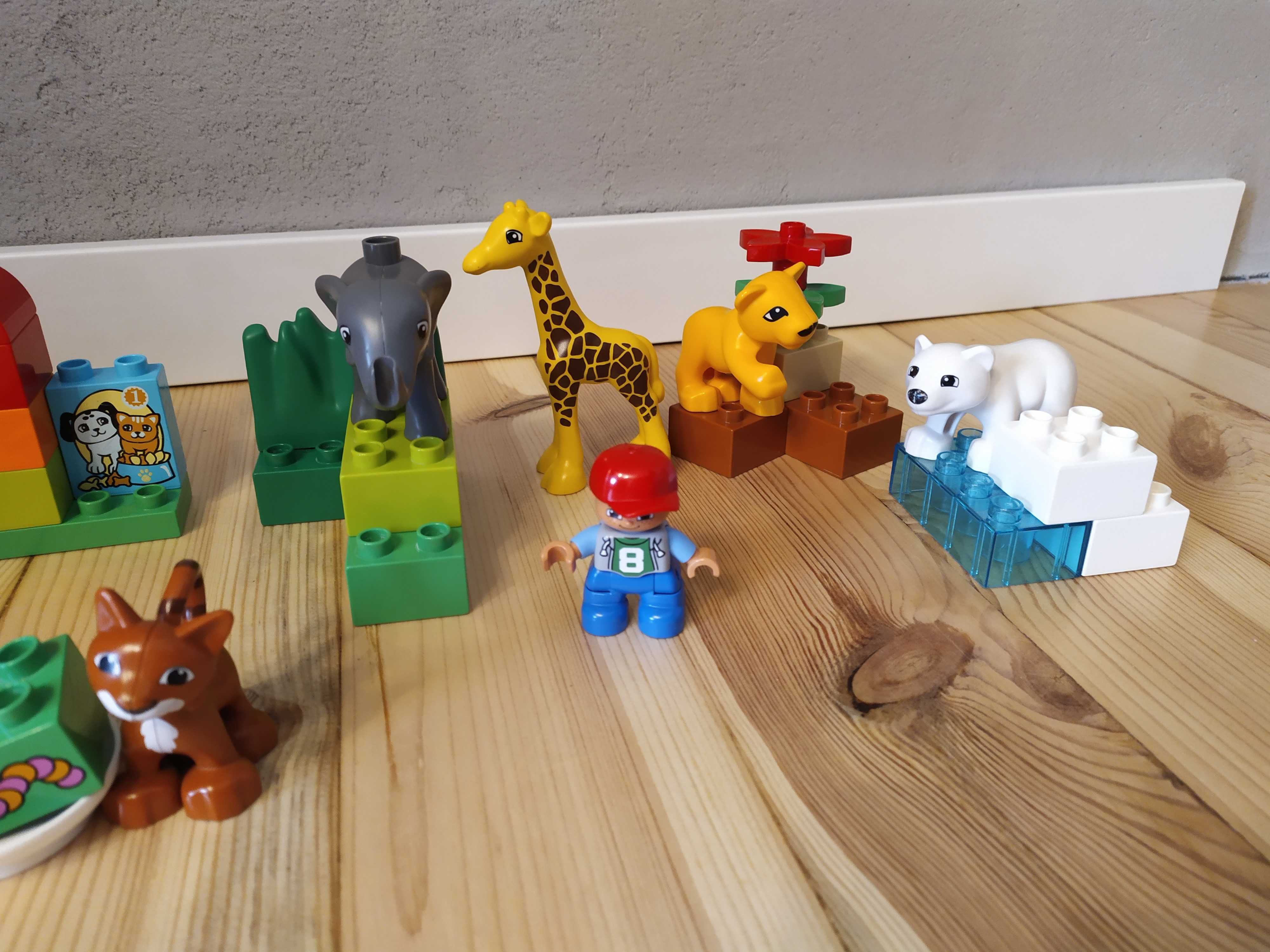 LEGO Duplo małe zoo 4962 i dodatkowe klocki z kotem