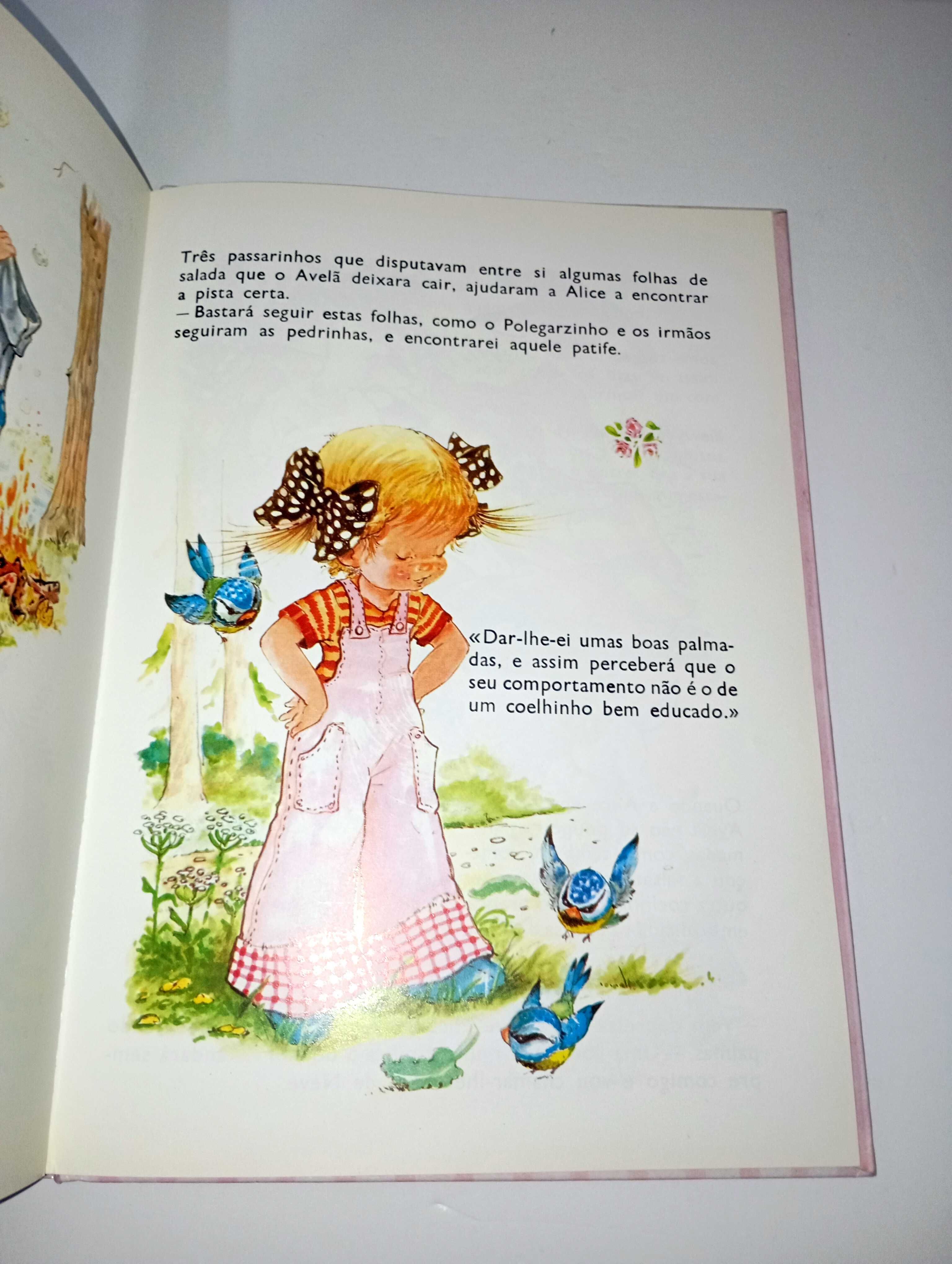 O Coelhinho Apaixonado