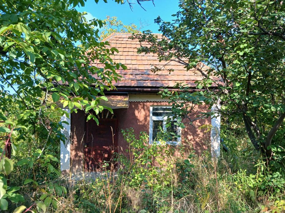 Дача біля термального басейну в Берегові з садовою ділянкою 6.5 соток