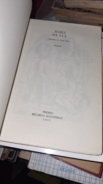 Fernanda Castro Maria da Lua livro romance