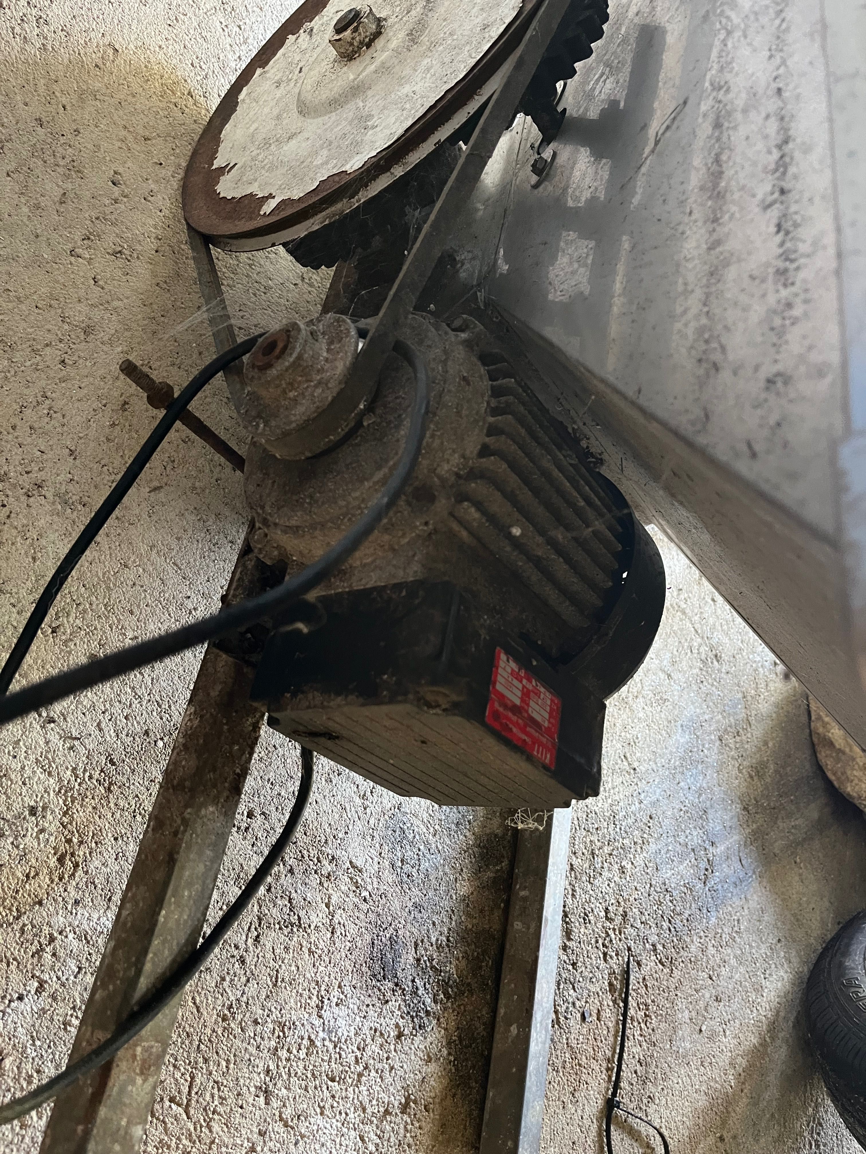 Espremedor de uvas eléctrico