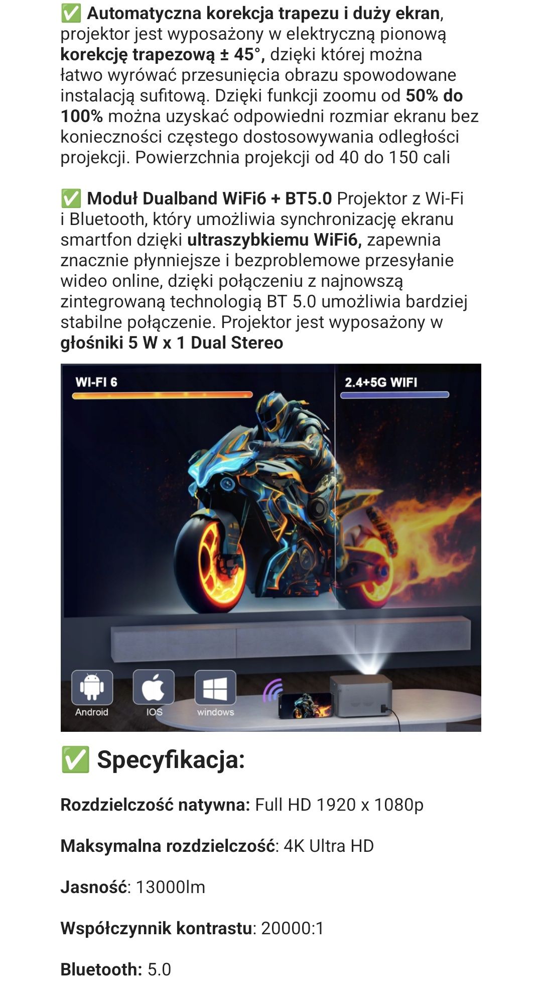 Rzutnik projektor