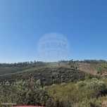 Terreno  para venda
