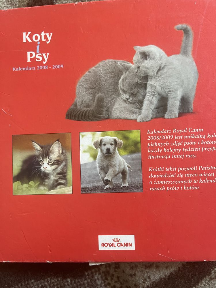 Koty i psy kalendarz używany ale z opisami raz psów MUR