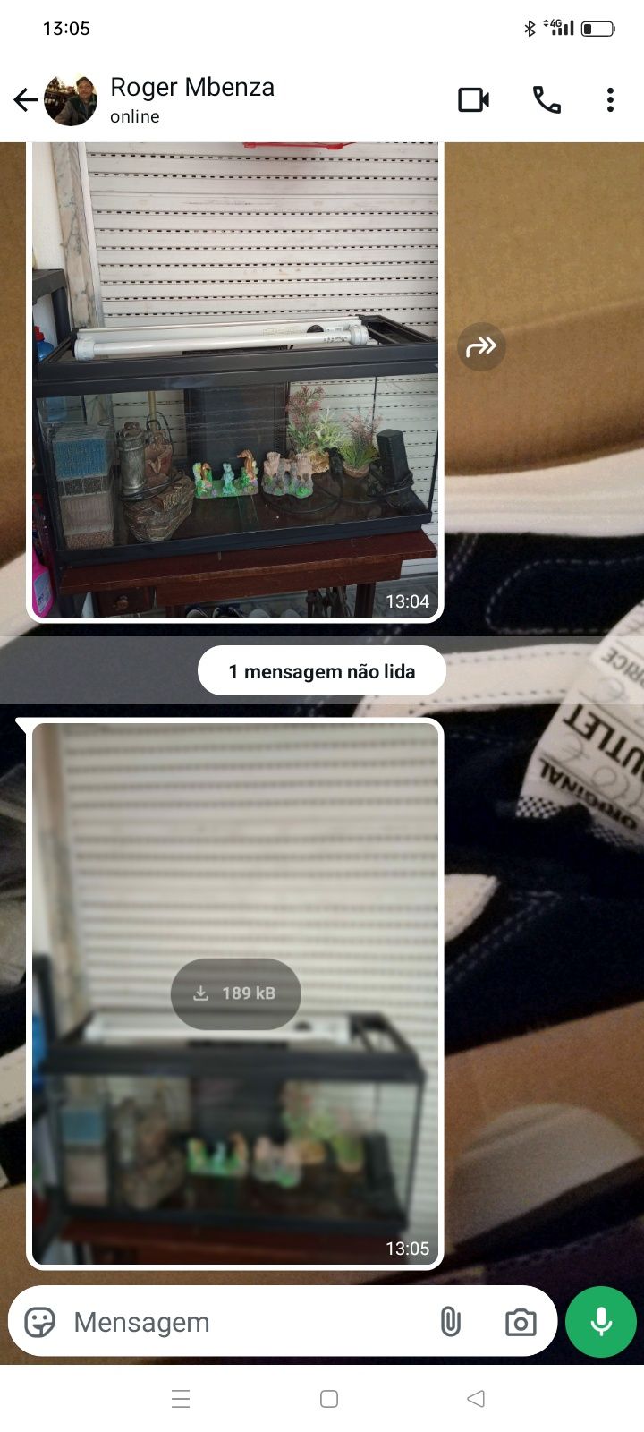 Aquário de 100 litros