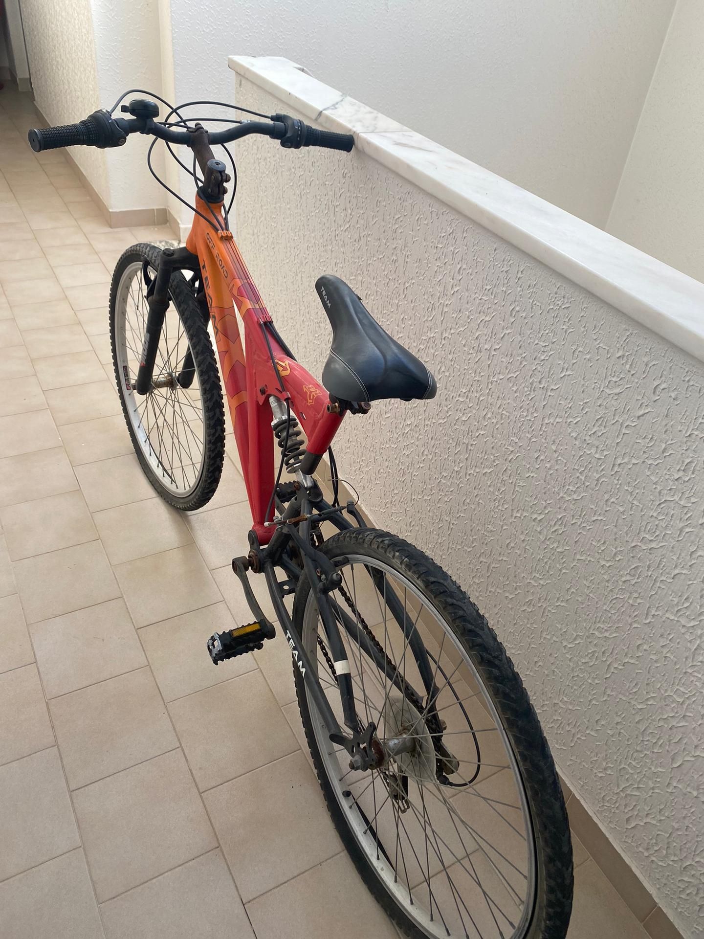 Bicicletas adulto e infantil menina