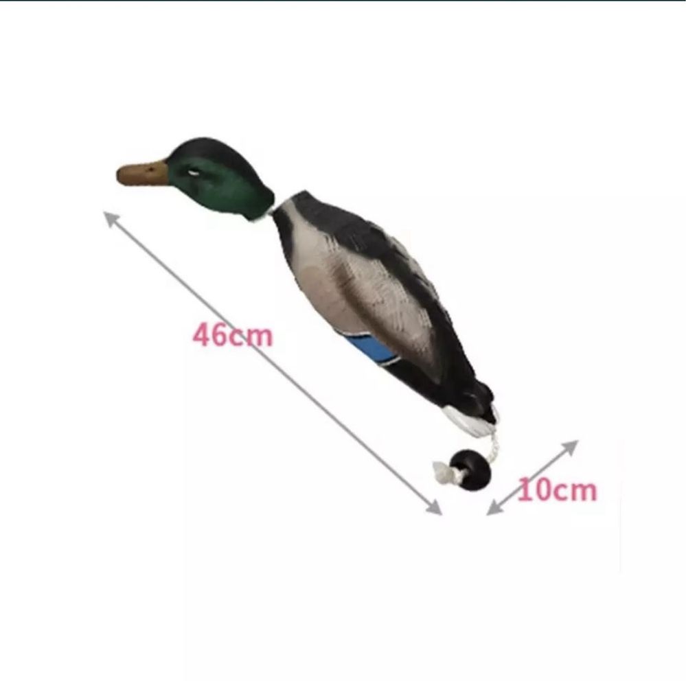 Kaczka dummy aport dla psa do wody