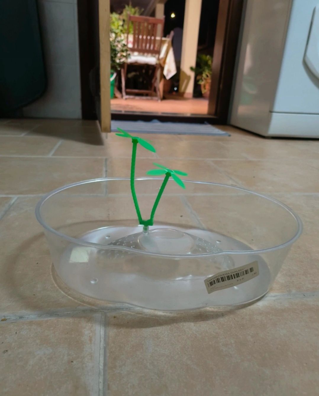 Aquário para tartarugas