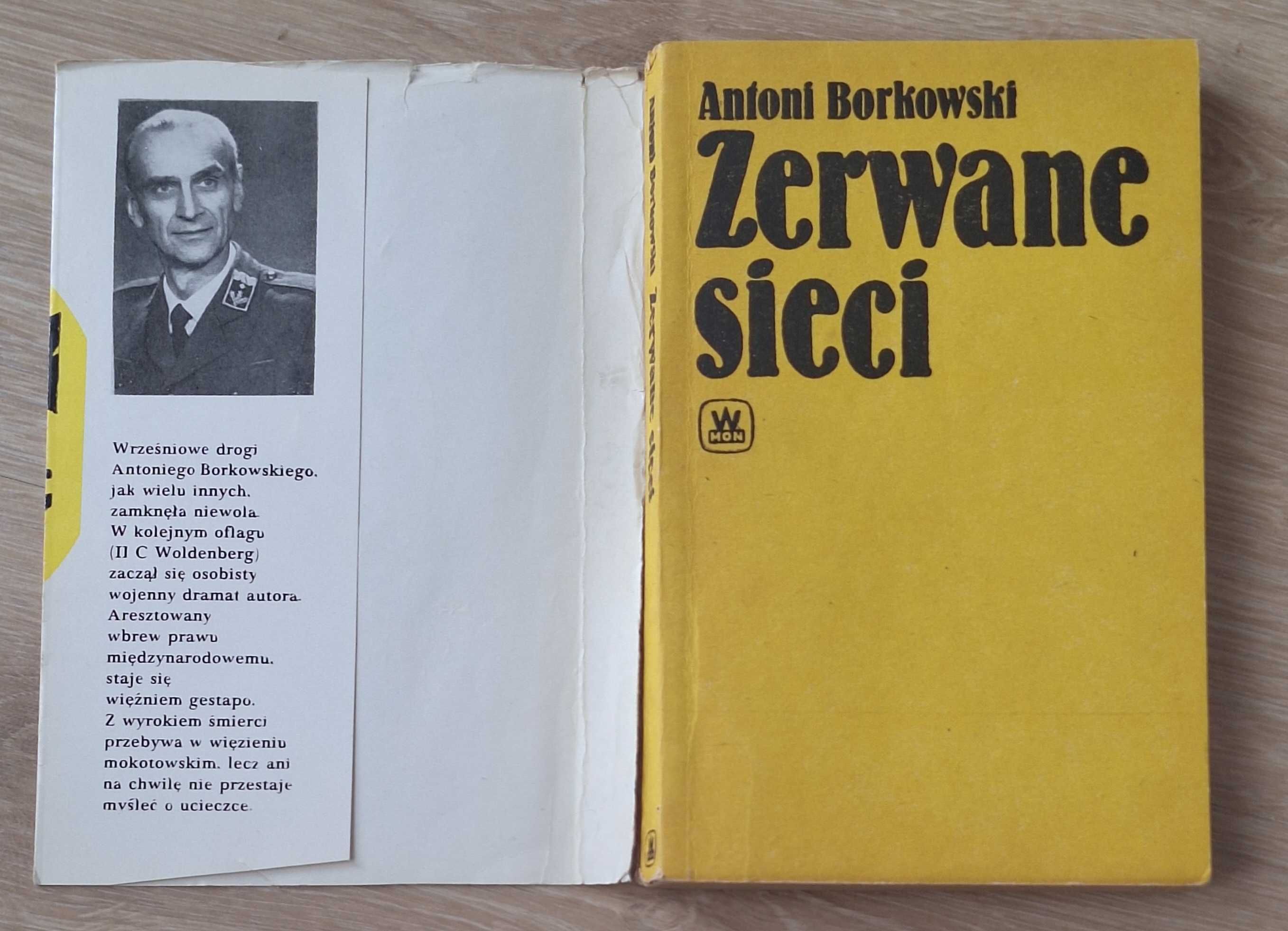 Zerwane sieci Antoni Borkowski