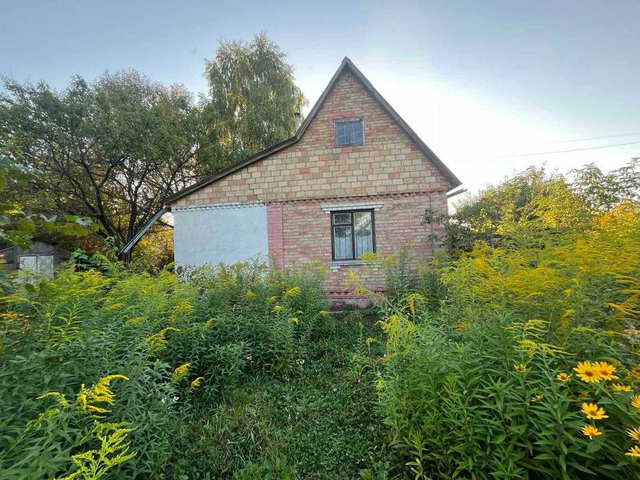 Продам дачний будинок с.Вільне-Тарасівка,
