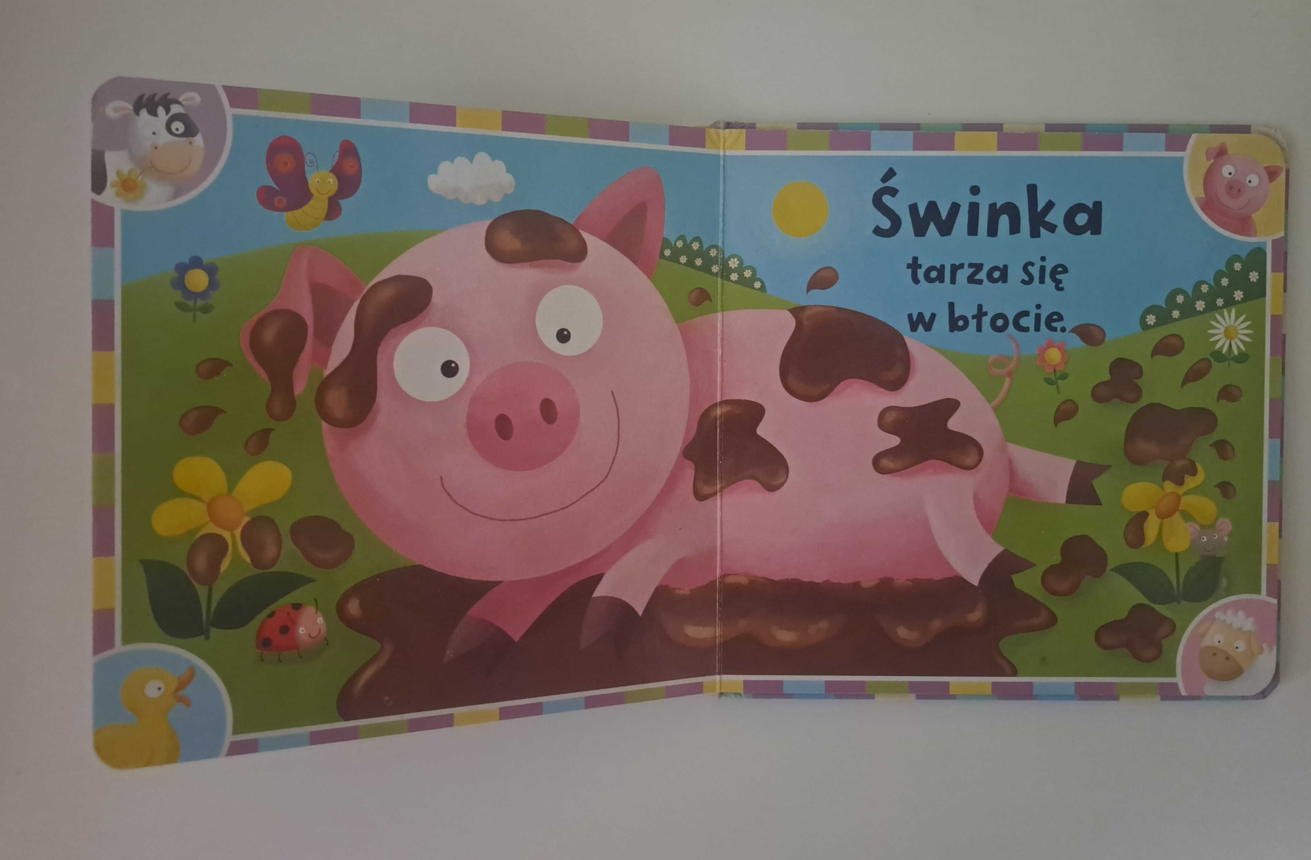 Książka dla dzieci Na wsi. Dotknij i poczuj