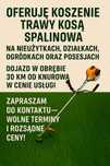 Koszenie trawy kosą spalinową. TANIO|SZYBKO