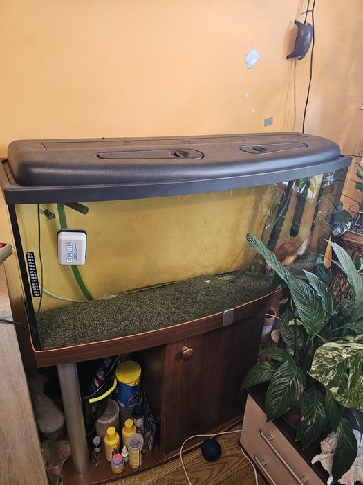 Sprzedam akwarium 250litrow