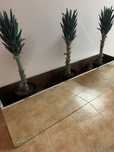 Floreira em espelho
