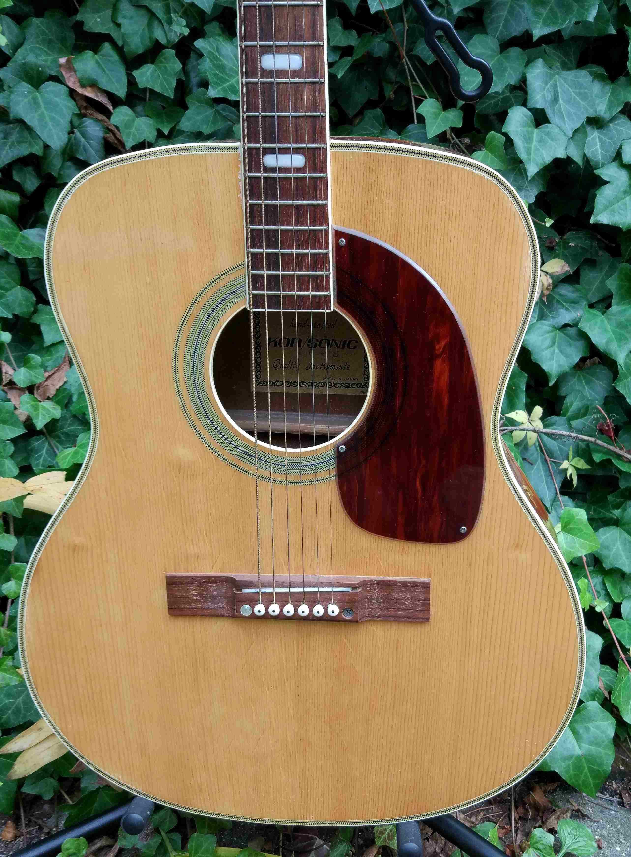 Gitara akustyczna Kor/Sonic- mane in Japan