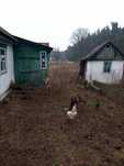 Дом село Ушомир продажа