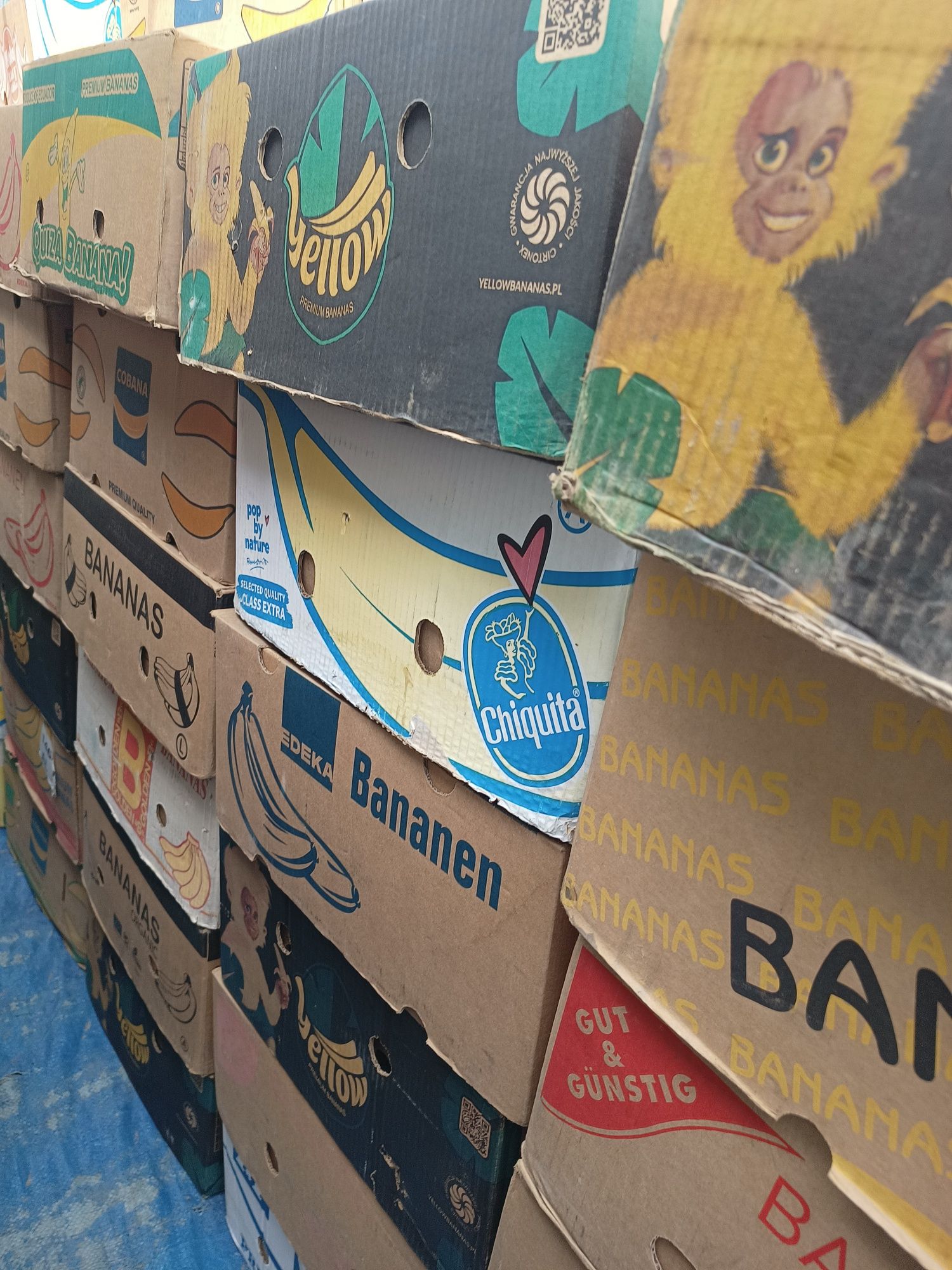 Kartony po bananach bananowce pełne z towarem 5 zł za sztukę