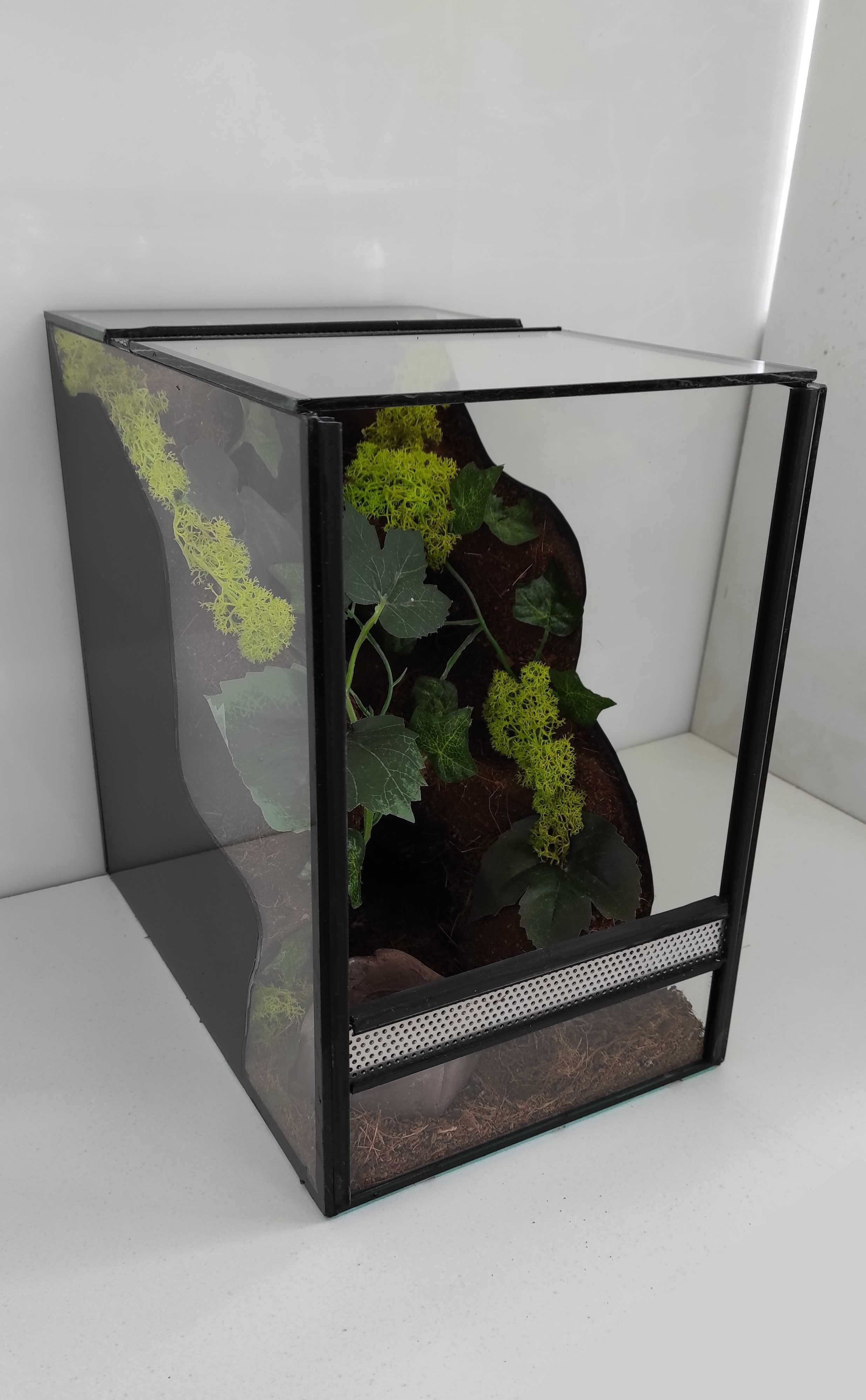 Terrarium dla ptasznika, pająka, TW23TP, AquaWaves