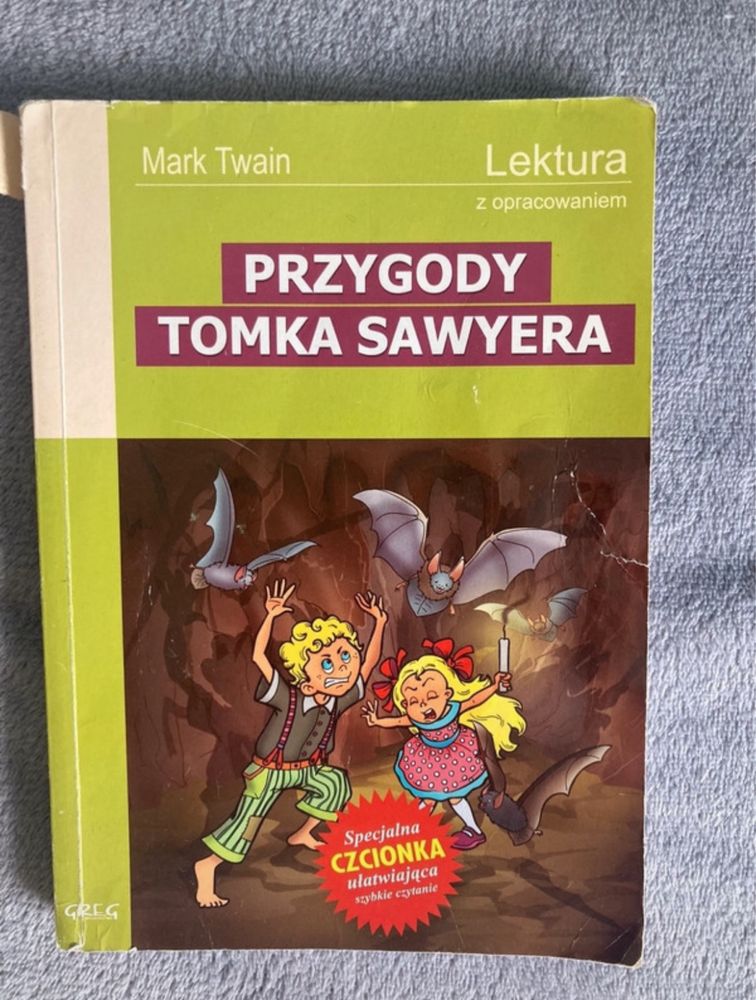 Lektura szkolna Przygody Tomka Sawyera