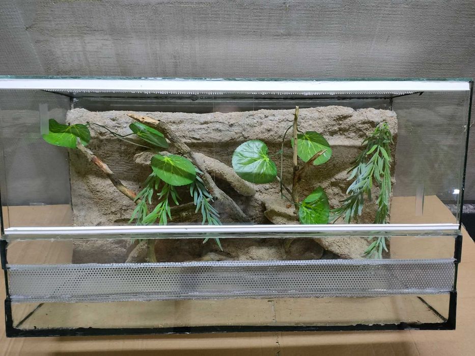 Terrarium 60x23x34 nr2 gekon wąż oświetlenie i termostat gratis