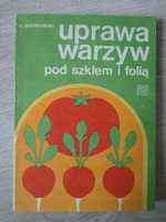 Uprawa warzyw pod szkłem i folią