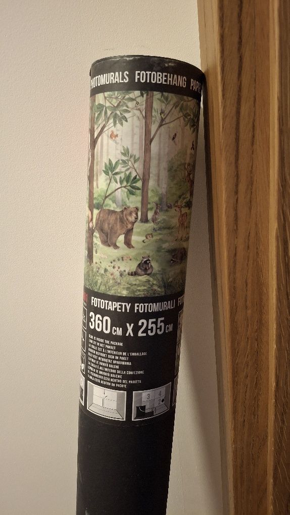Fototapeta las, leśna droga, zwierzątka