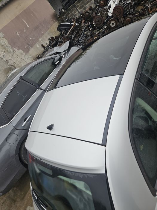 Fiat 500 dach panorama