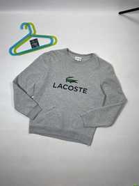 Свитшот мужской Lacoste