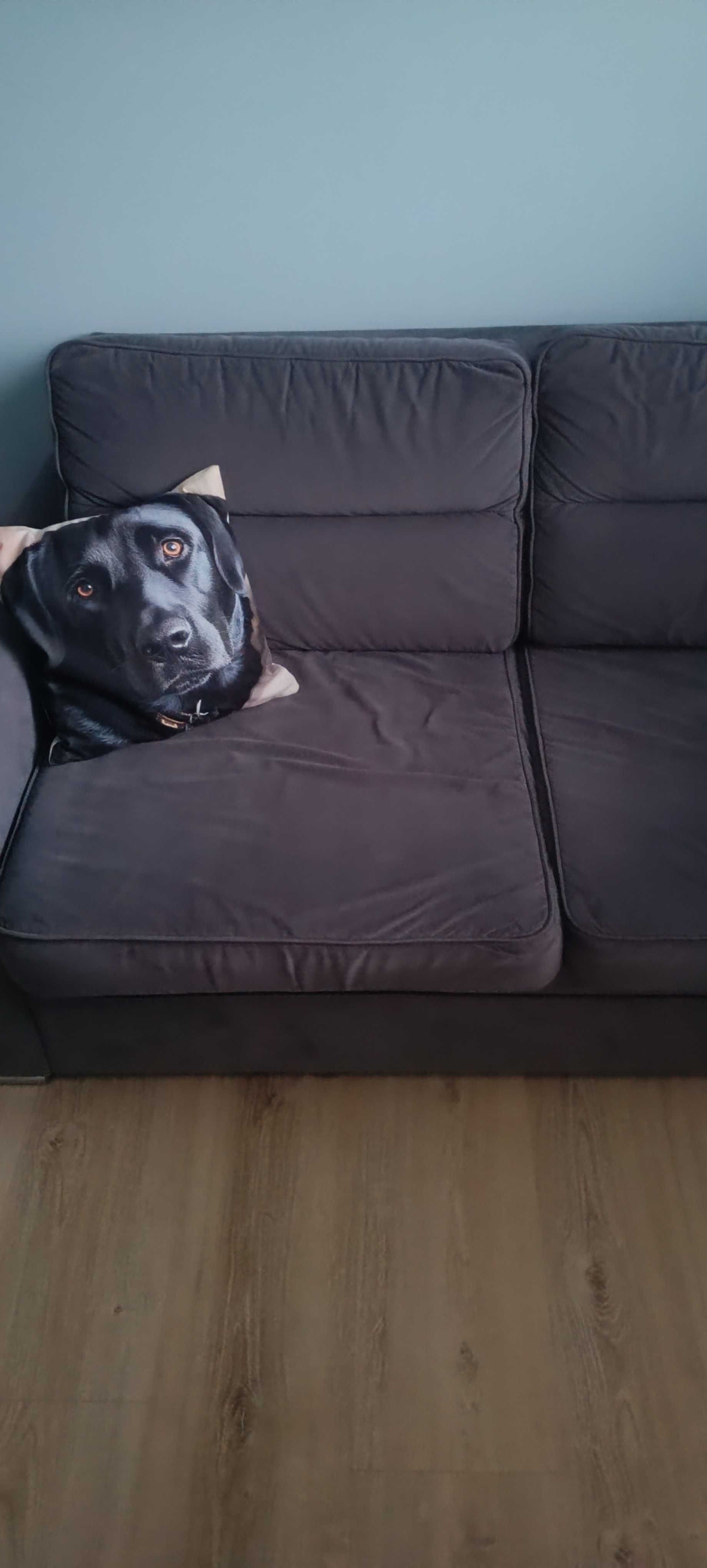 Tapczan, kanapa, sofa w kolorze szarym. Pojemnik.