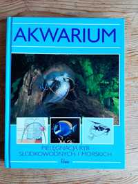 Akwarium, Brian Ward