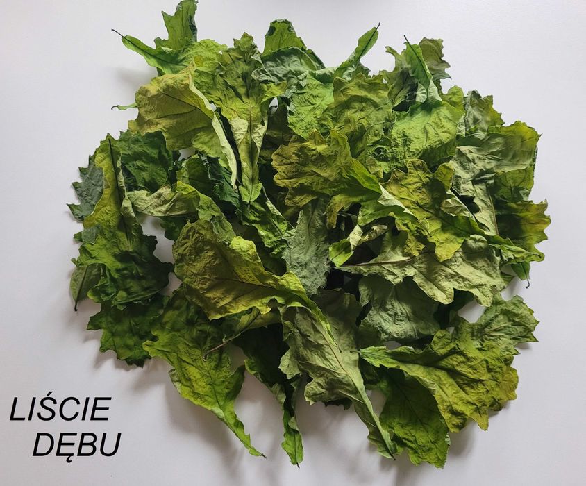 szyszki olcha czarna antyglon 100g (ok 500 szt.) liście do akwarium