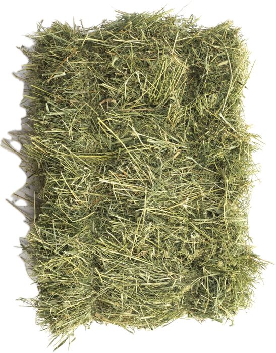 Siano w kostkach 2025