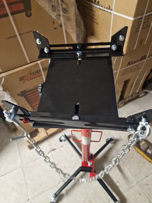 Macaco de Fossas novo