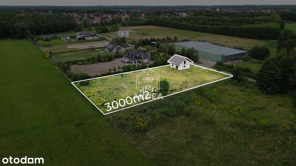 Dom z Możliwościami w Olimpinie