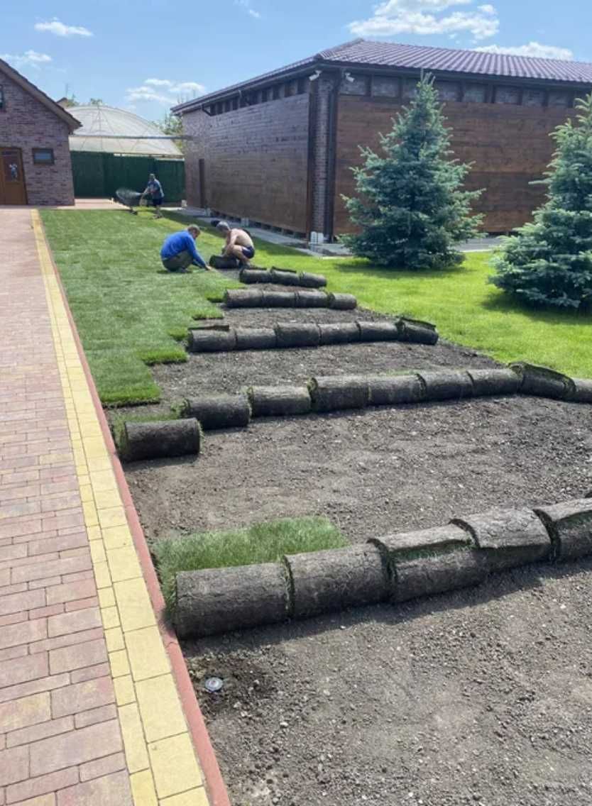 Живий рулоний газон