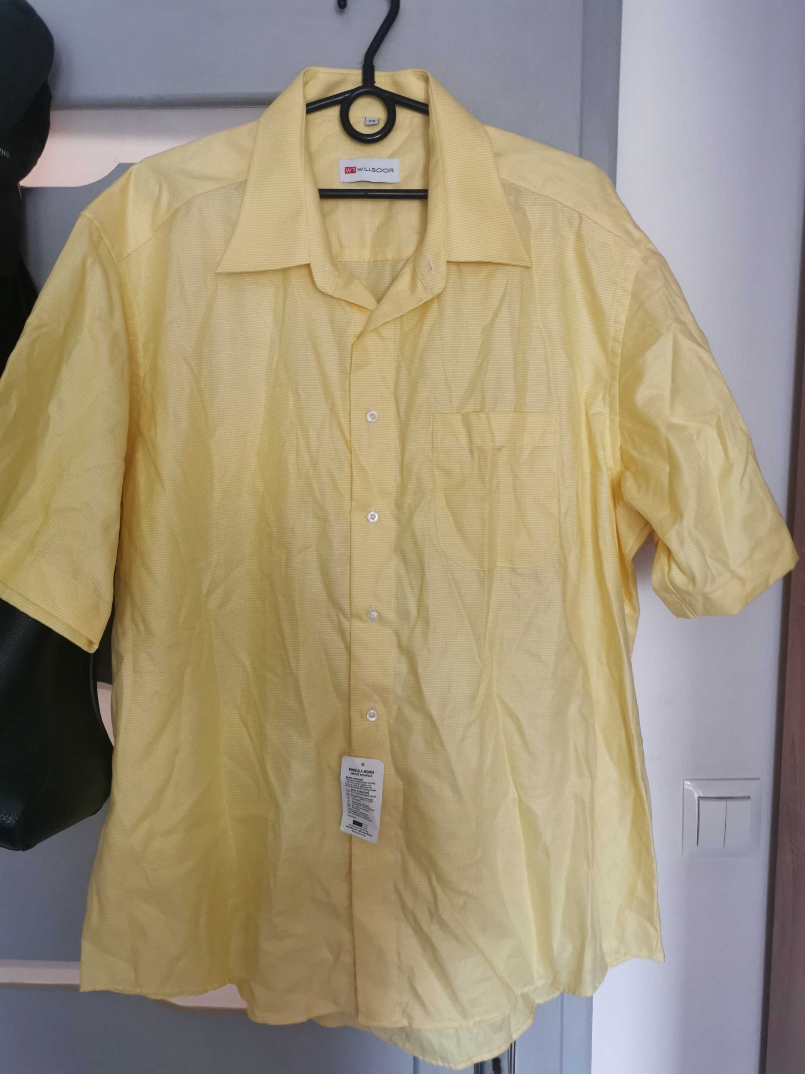 Żółta koszula męska krótki rękaw rozmiar 45 nowa z metką willsoor