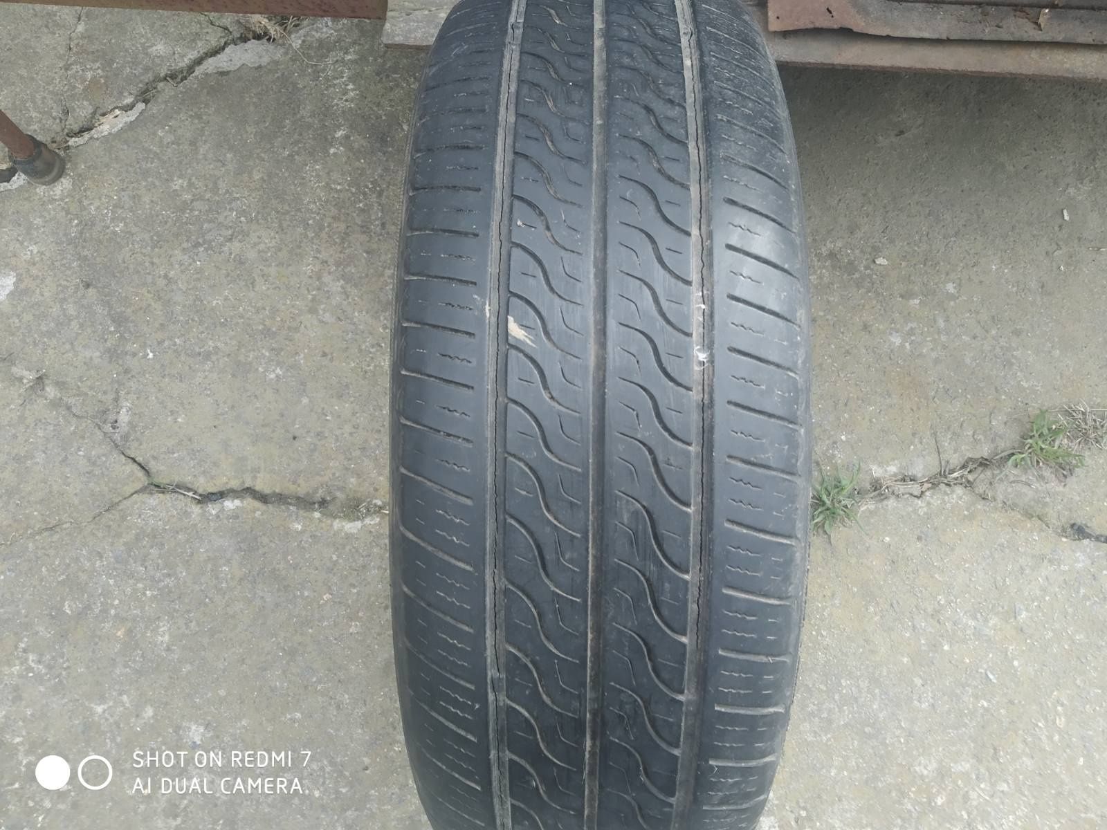 Продам скат TOYO