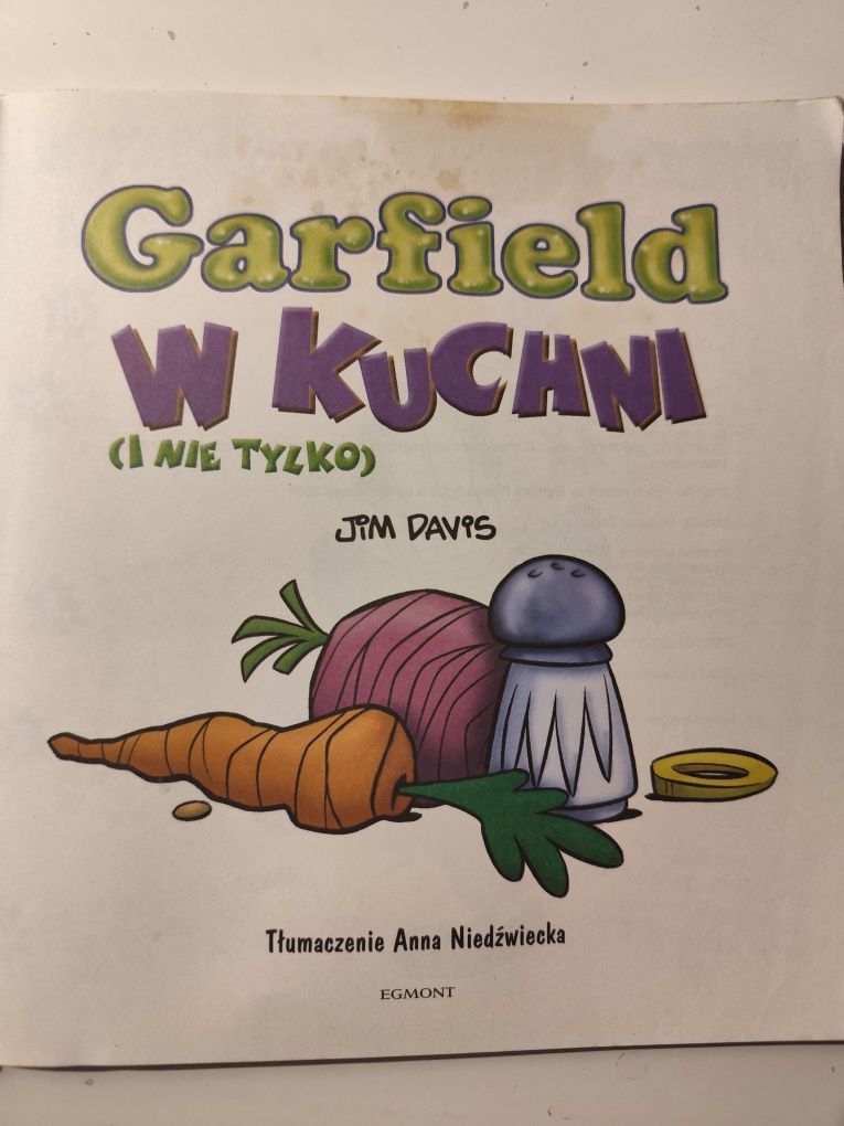Komiks Garfield w kuchni pierwsze wydanie