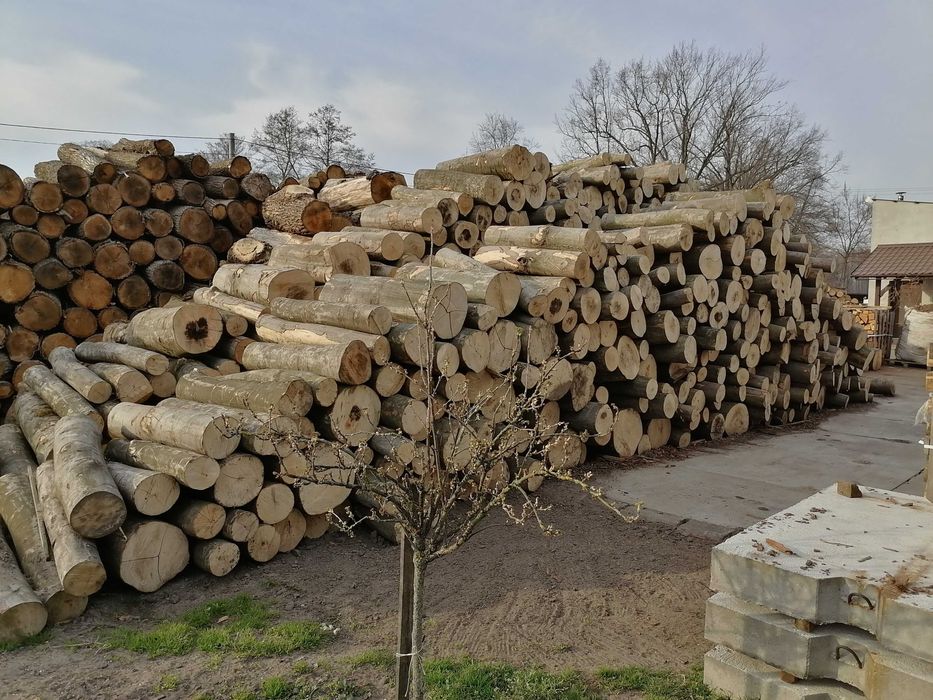 Drewno kominkowe i opałowe buk Oława i okolice