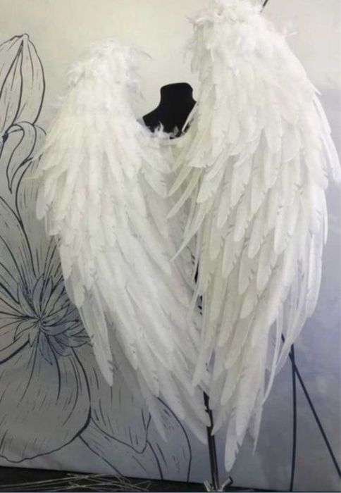 Białe skrzydła acesoria