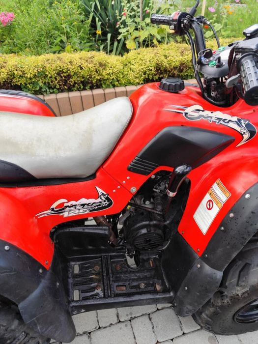Quad Aeon cobra 125 sport