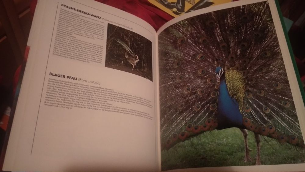 Vögel Moewig книга атлас немецкий язык птицы отличное состояние