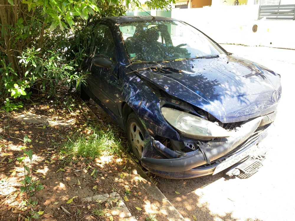 Peugeot 206 1.1 Color Line