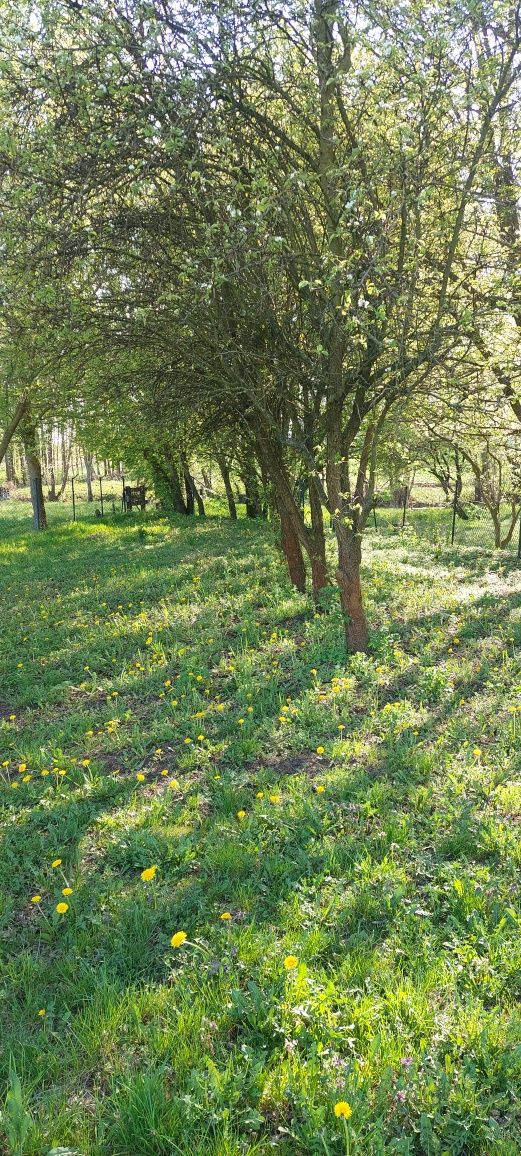Działki budowlane 1100 m2