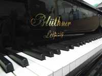 Fortepian firmy BLUTHNER piękna Wersja Jubileuszowa z 1900r Nr 54787