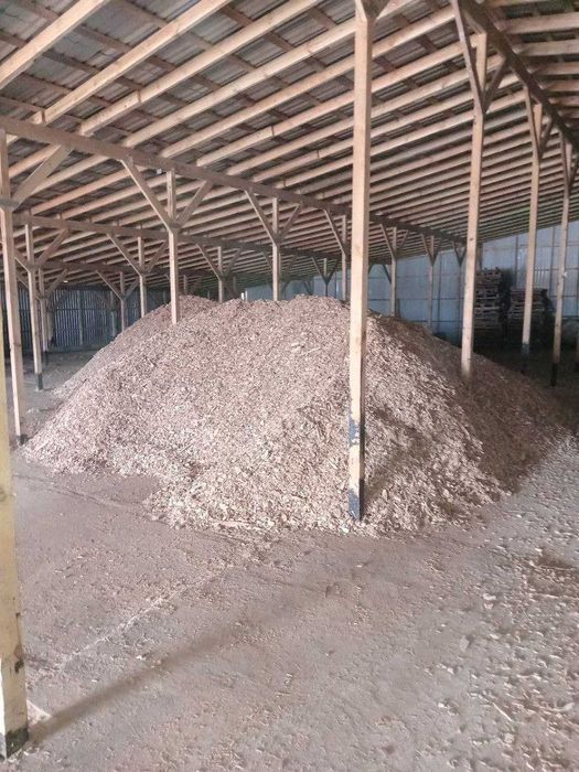 Продам щепу з сосни