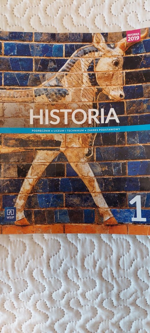 Historia klasa 1 liceum I technikum
