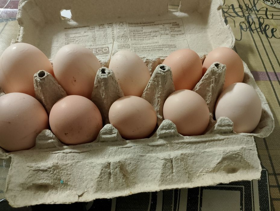 Sprzedam jajka wiejskie 24kg