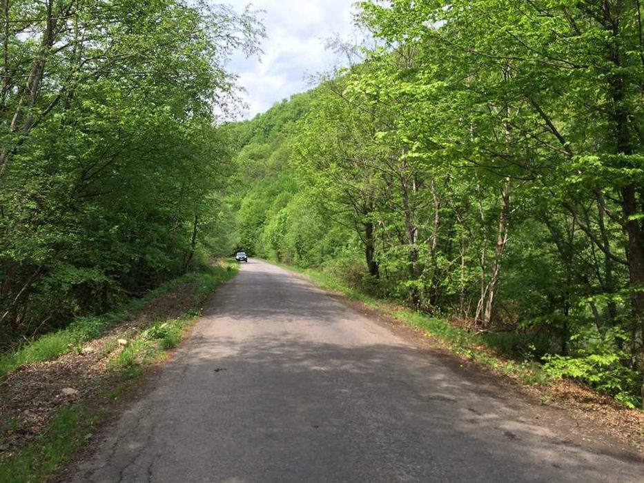 с.Новоселиця. Зем. ділянка комерційного призначення. Від Власника!!!